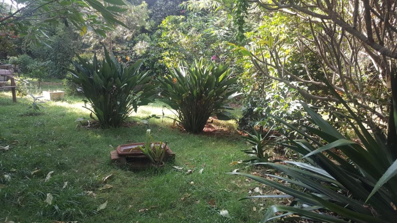 The Cottage-Place Of Grace 2Bdrm And Loft Bed All 4U At Usd58 Nairobi Eksteriør bilde