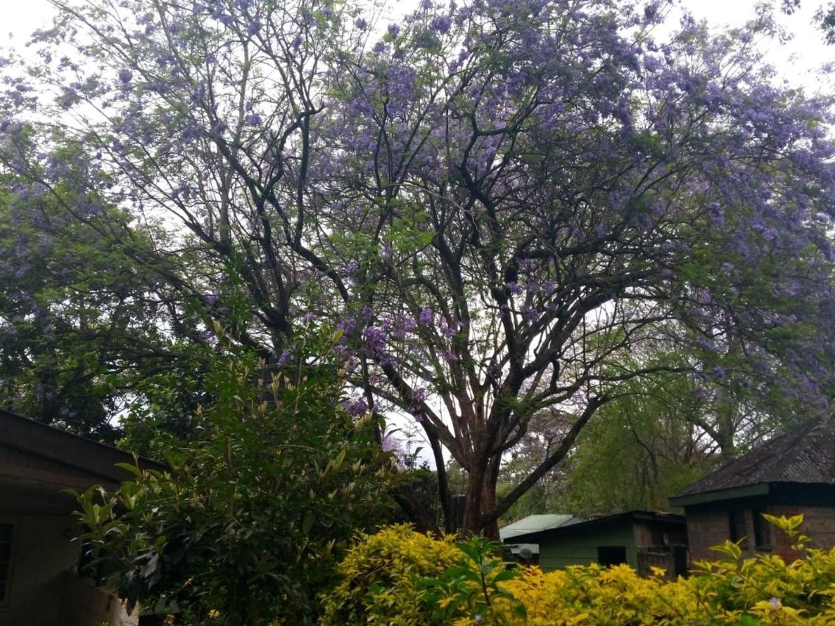 The Cottage-Place Of Grace 2Bdrm And Loft Bed All 4U At Usd58 Nairobi Eksteriør bilde