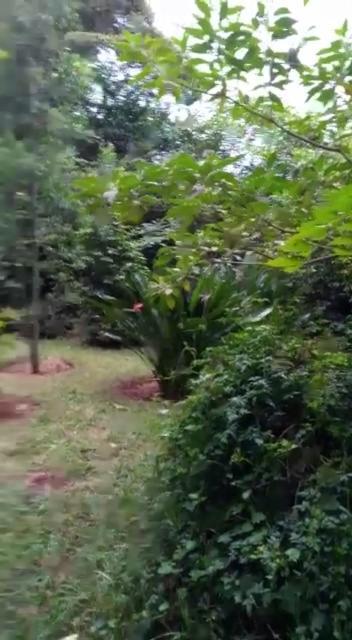 The Cottage-Place Of Grace 2Bdrm And Loft Bed All 4U At Usd58 Nairobi Eksteriør bilde
